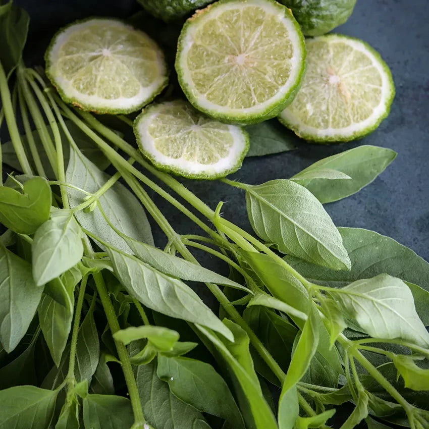 BASIL LIME