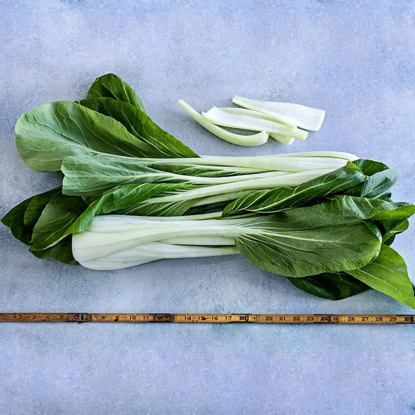 BOK CHOY SNOW WHITE