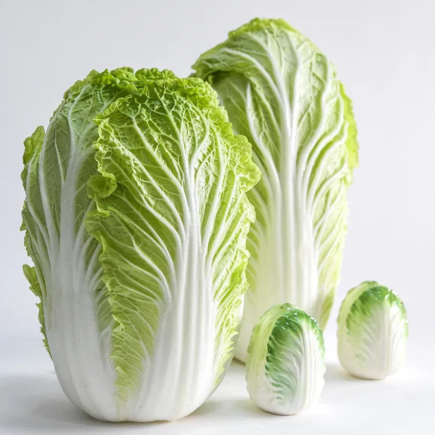 CABBAGE CHINESE HILTON