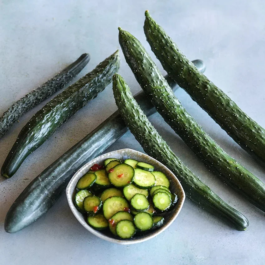 CUCUMBER CHINA JADE