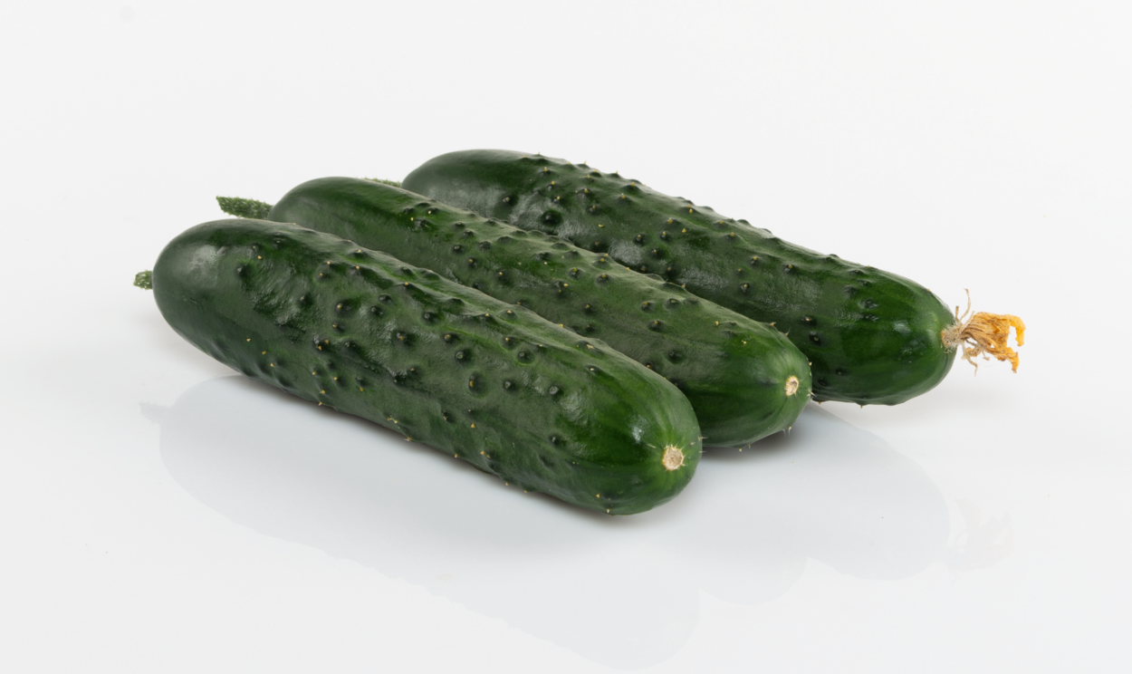 CUCUMBER BRAGA