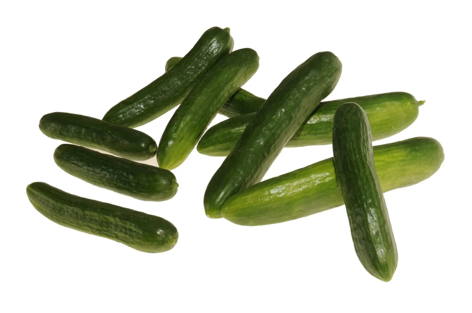 CUCUMBER MERCURY