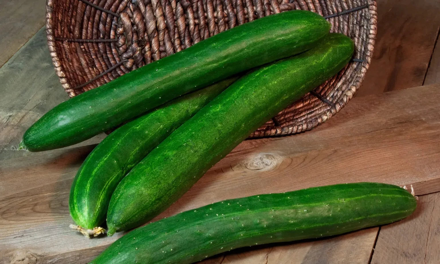CUCUMBER TASTY GREEN