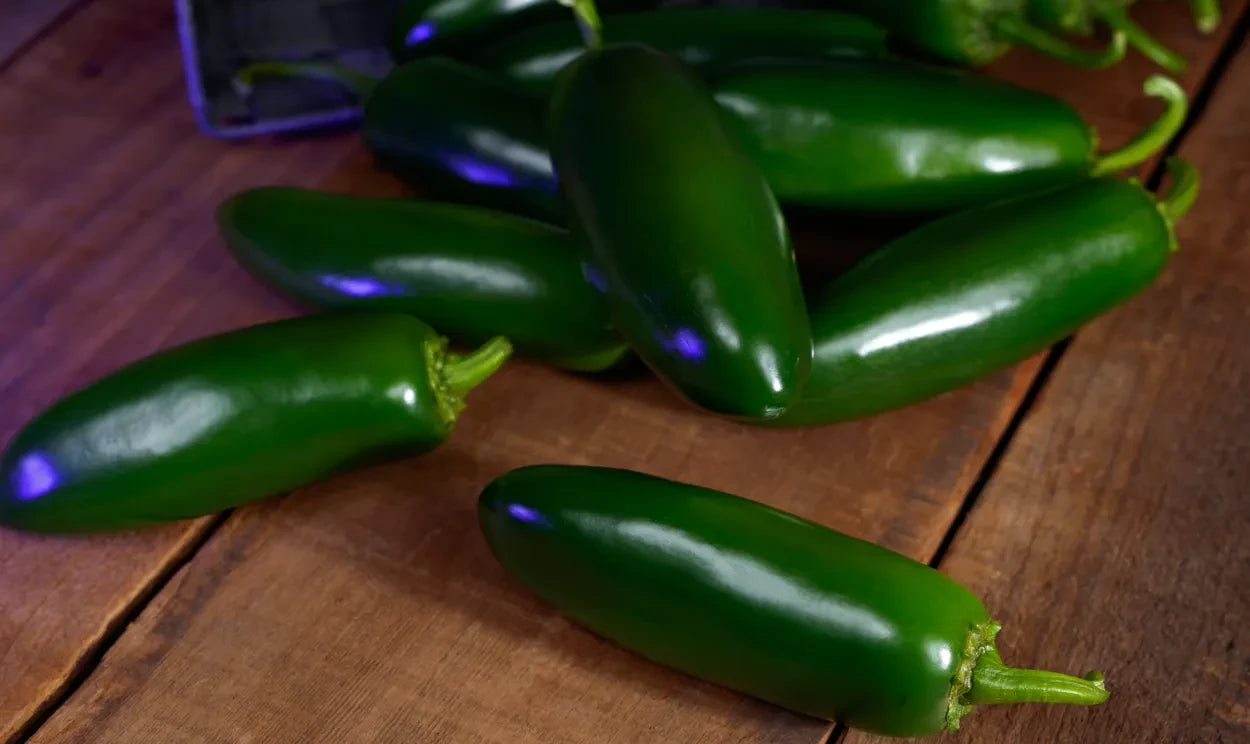 JALAPENO PEPPER SOUNDWAVE