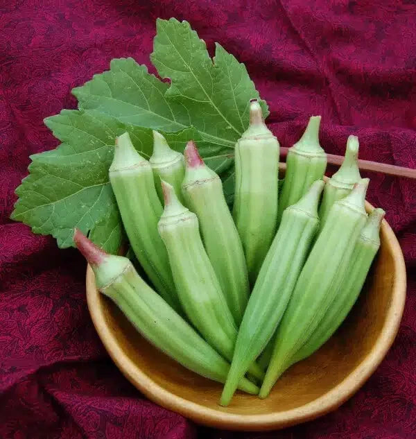 OKRA CLEMSON SPINELESS