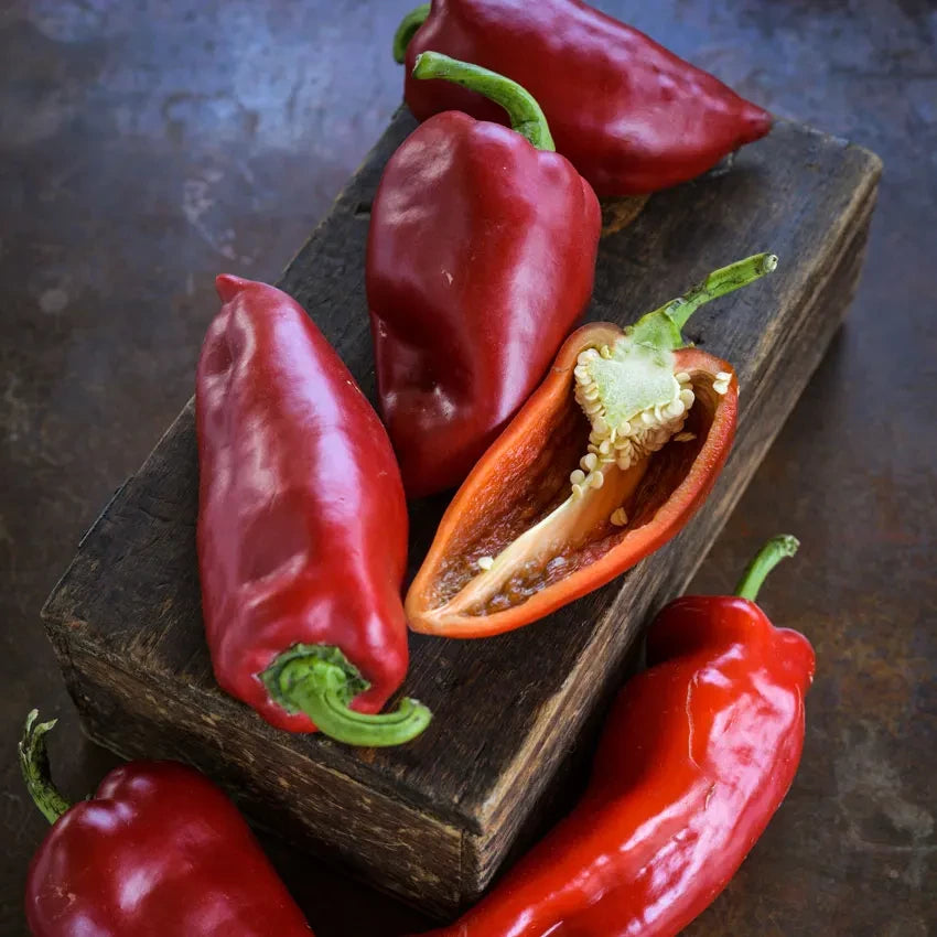 PEPPER SWEET AJVARSKI