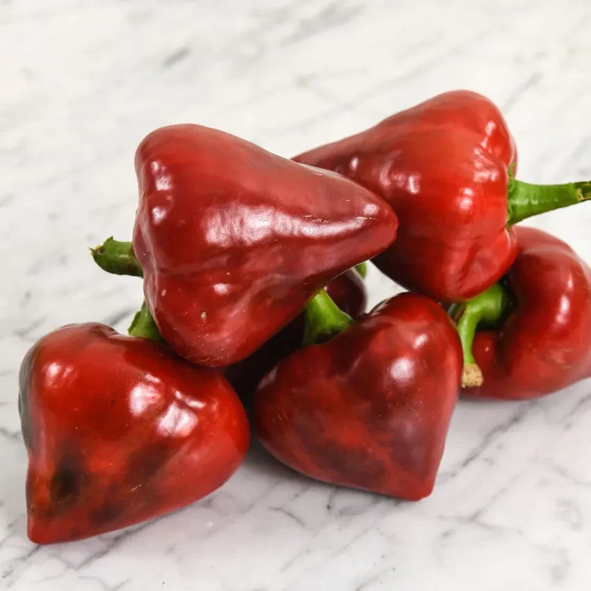PEPPER SWEET LESYA