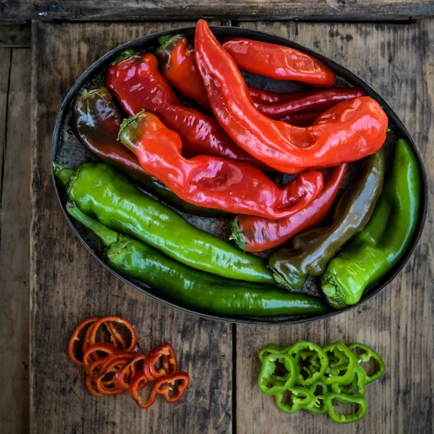 PEPPER SWEET TXORIXERO