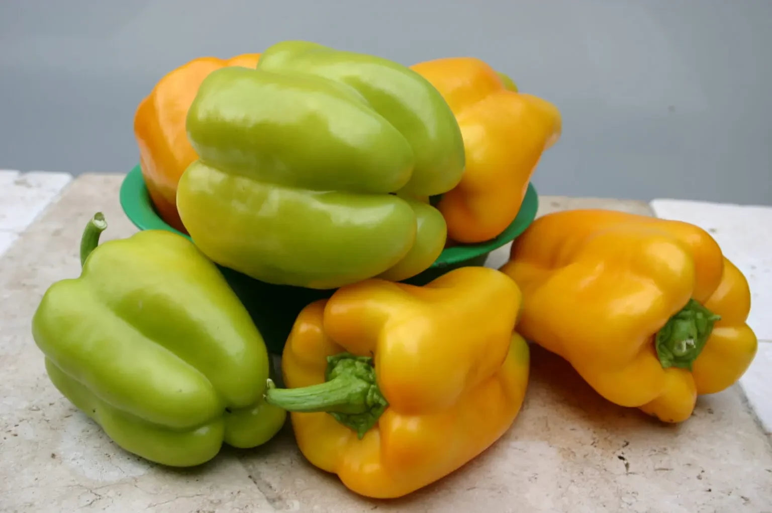 PEPPER FLAVORBURST BELL