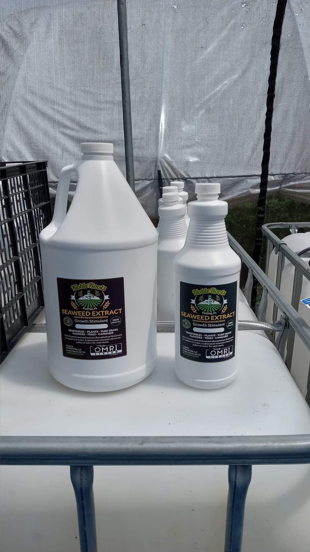 SEAWEED EXTRACT QUART