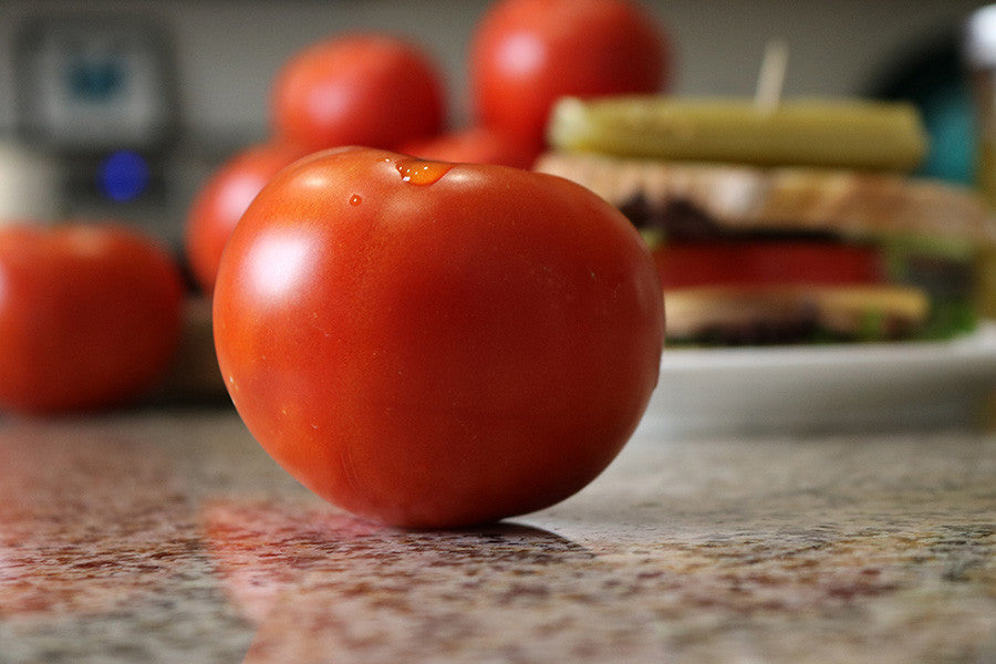 TOMATO CELEBRITY PLUS