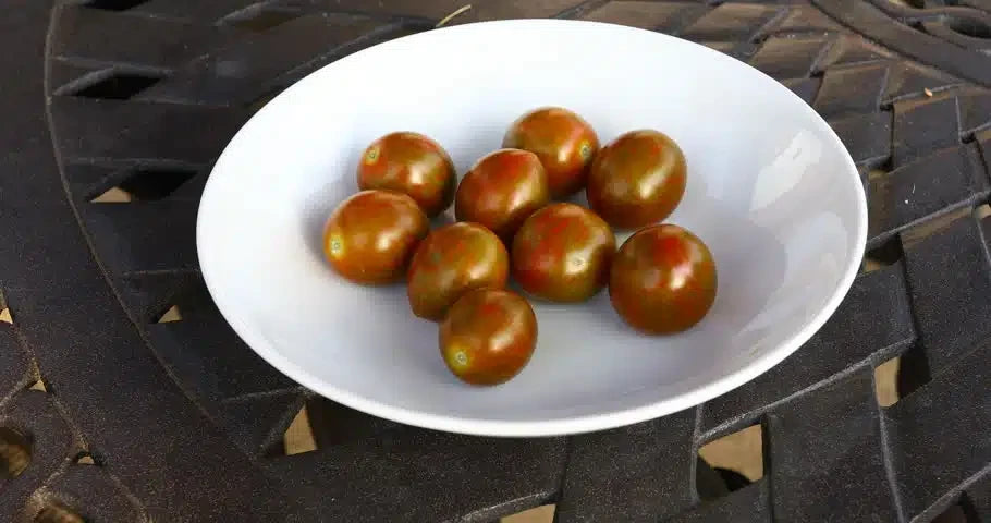 TOMATO CHOCOLATE SPRINKLES