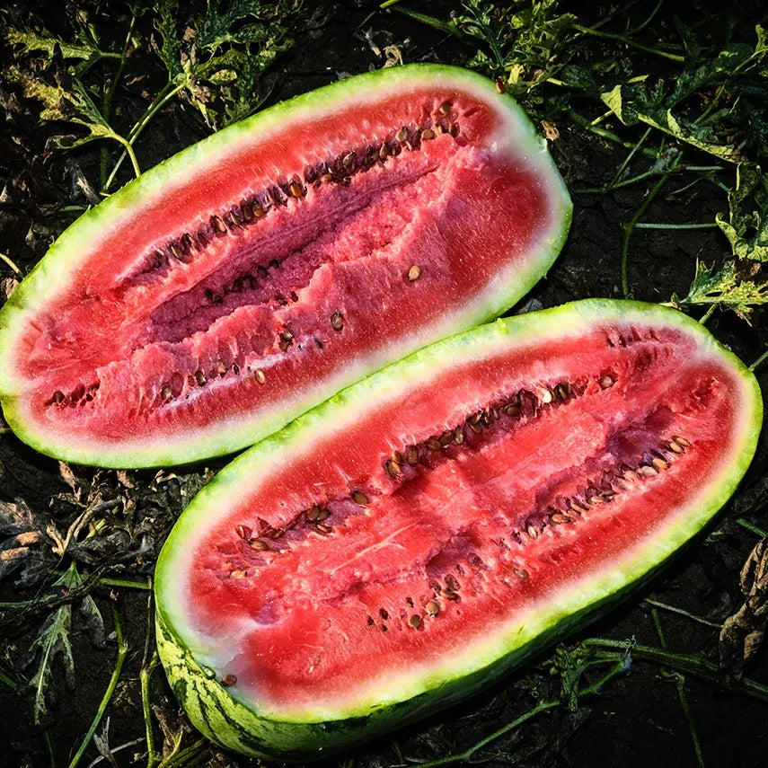 WATERMELON KUROBE