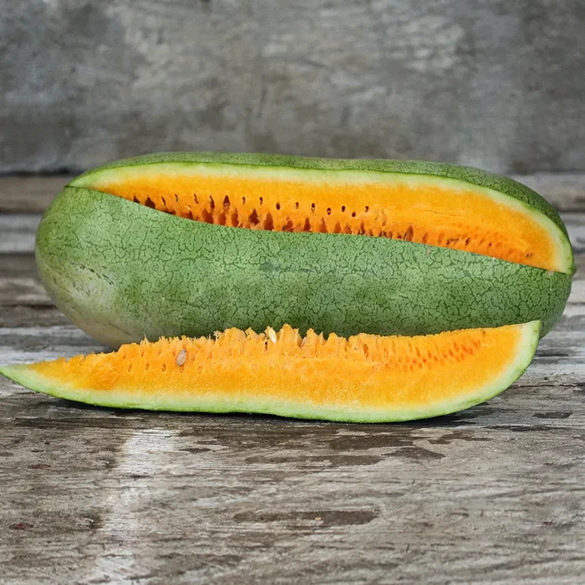 WATERMELON TEXAS GOLDEN