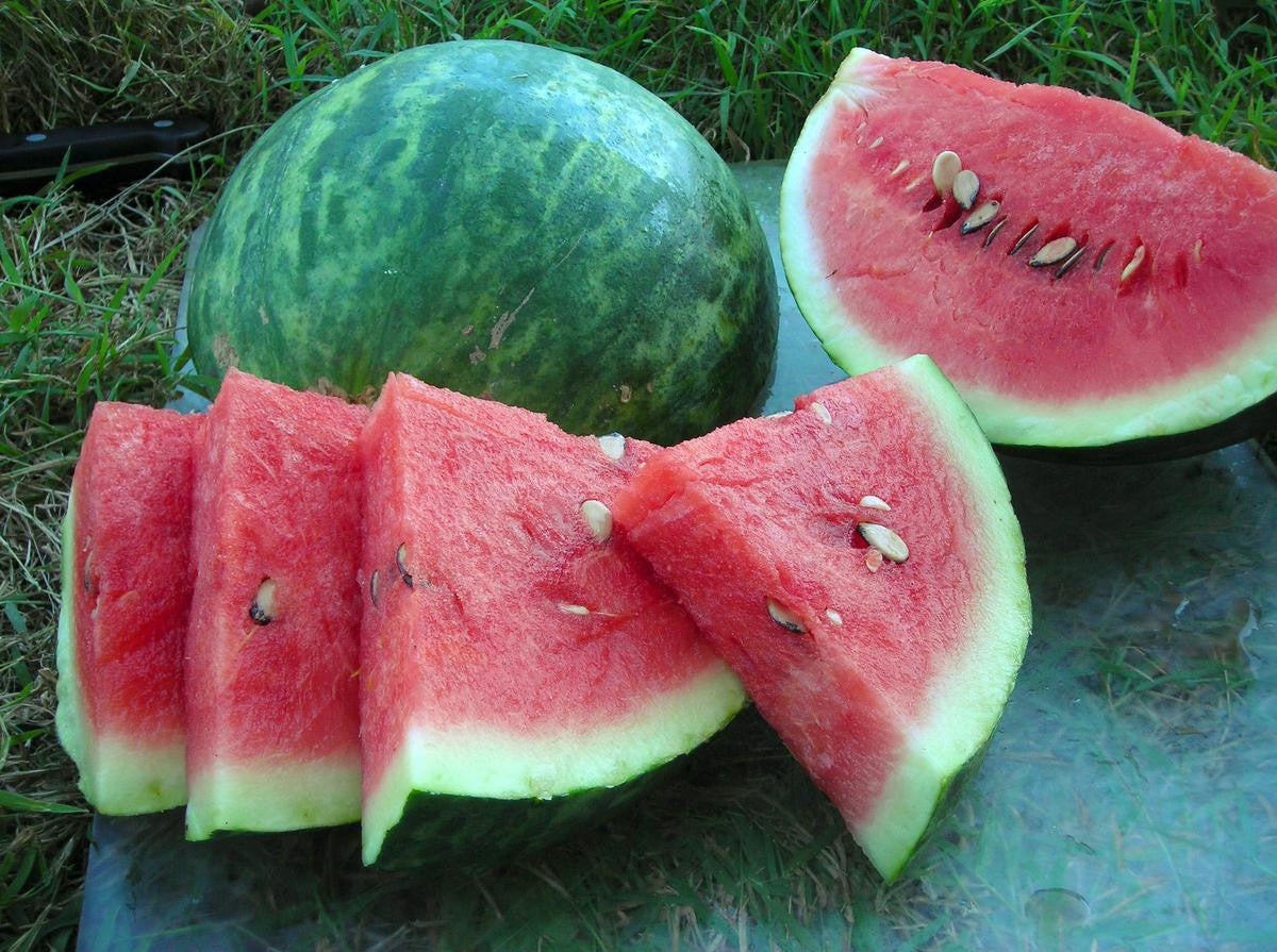 WATERMELON WILSON'S SWEET