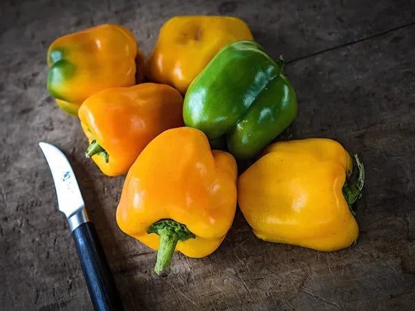 SWEET PEPPER CANARY BELL