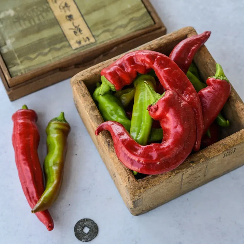 SWEET PEPPER MANGANJI