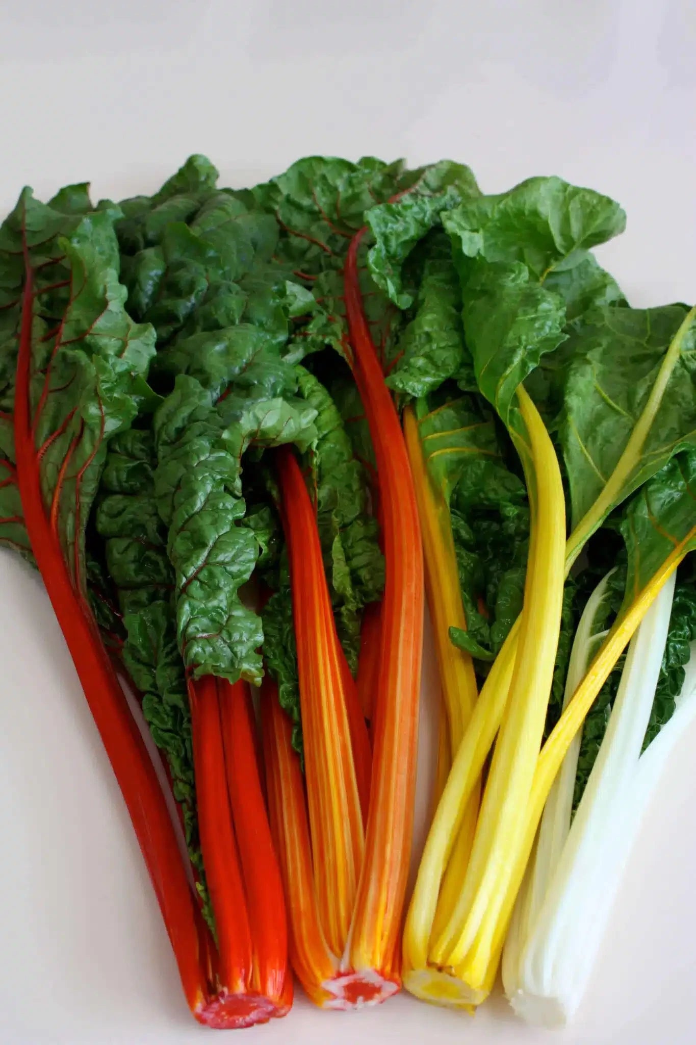 SWISS CHARD CELEBRATION