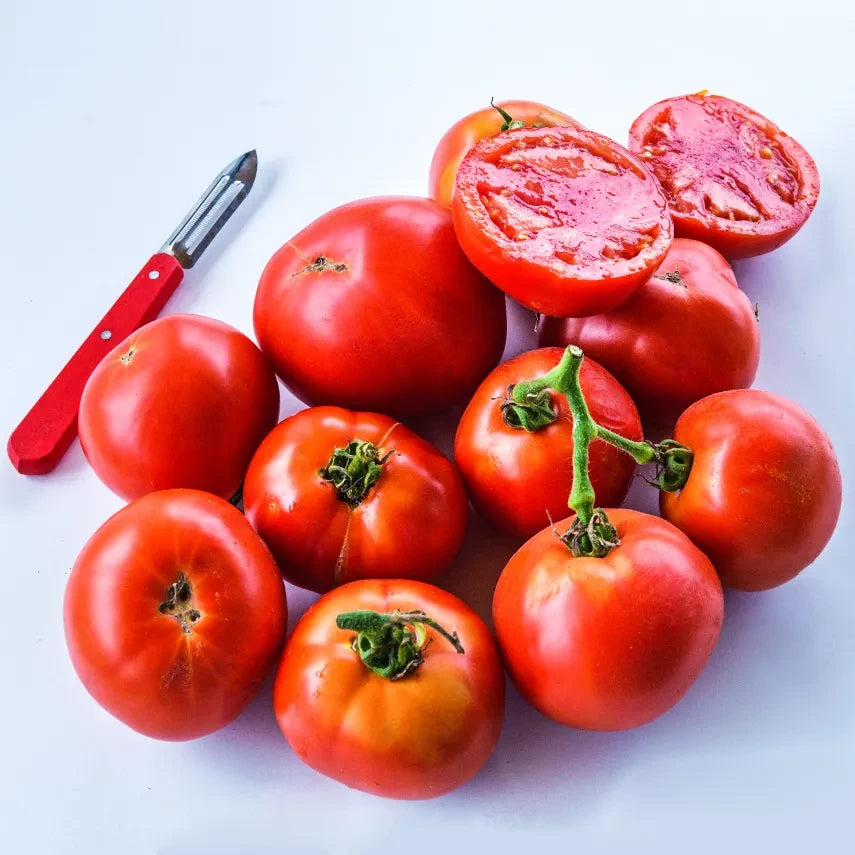 TOMATO WOOD'S FAMOUS BRIMMER