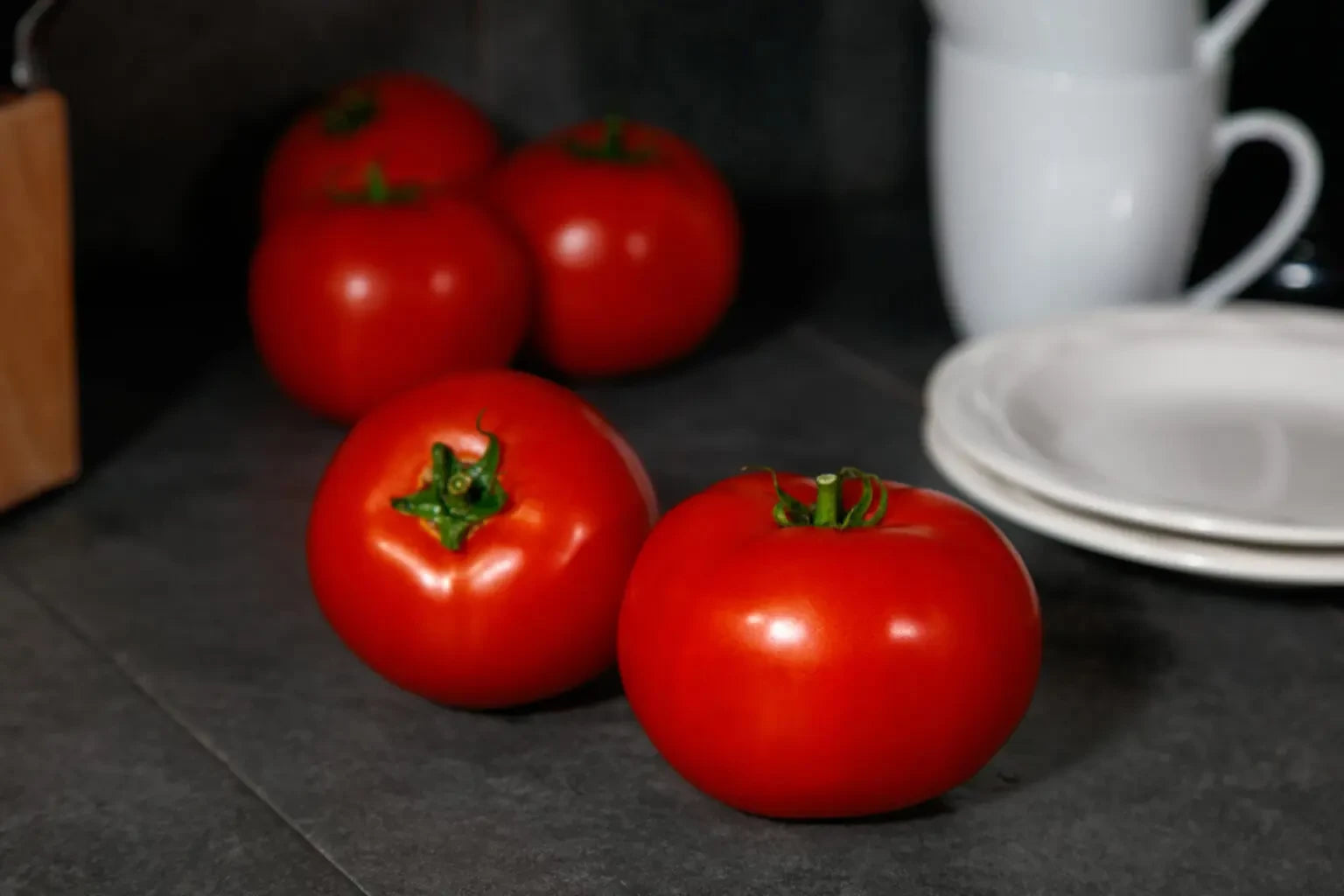 TOMATO RED SNAPPER
